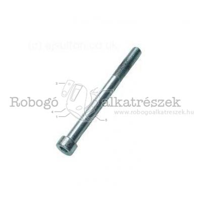 Bolt, Crankcase 8MM1.25