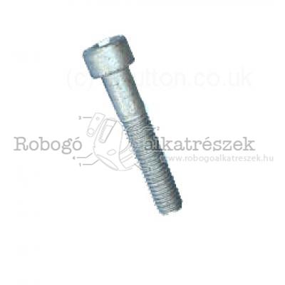 Screw, With Cylindrical